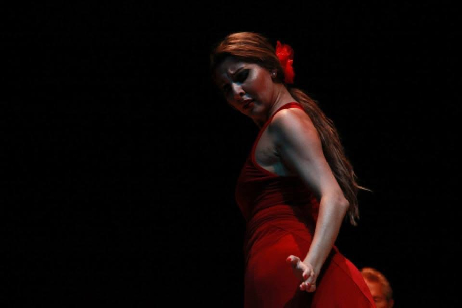 Los colores del flamenco (Sábado 21 de noviembre 2026)